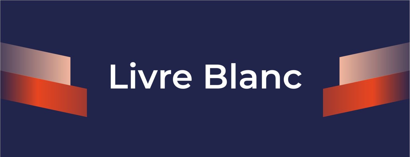 Livre-blanc-banner-01-scaled-e1723023061448